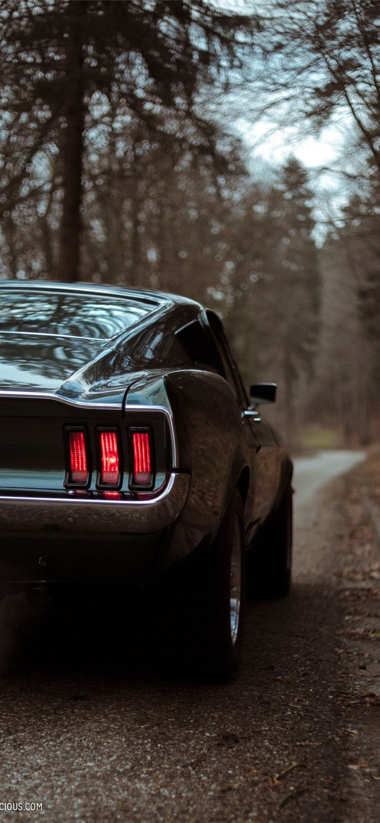 1290x2780 ford mustang boss 429. Ford mustang wallpaper, Ford mustang gt, Mustang wallpaper, Phone