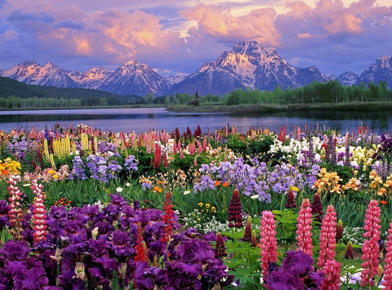 1350x1000 beautiful spring scene with lake and mountains high definition, Desktop