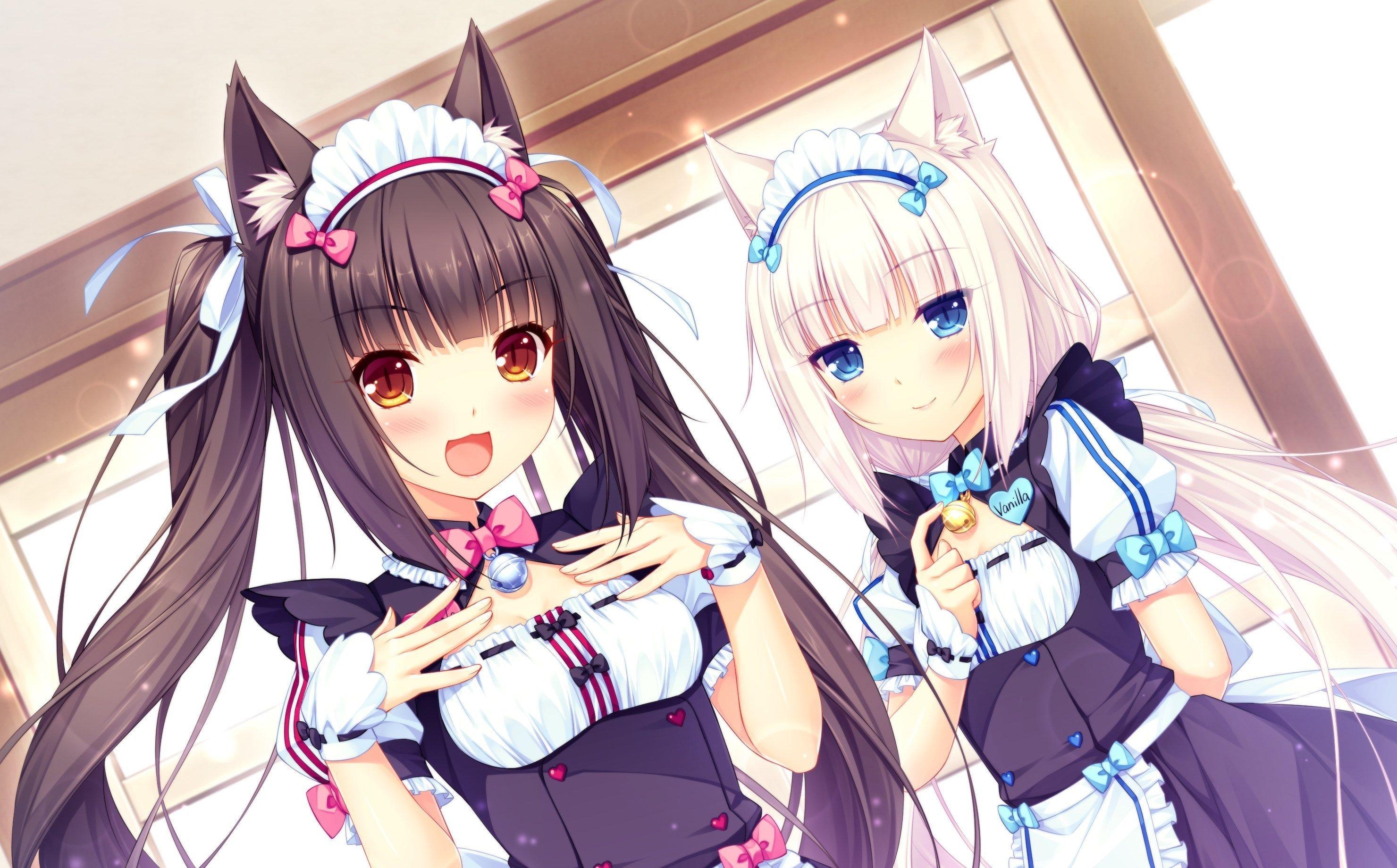 2960x1840 free high resolution wallpaper nekopara category, Desktop