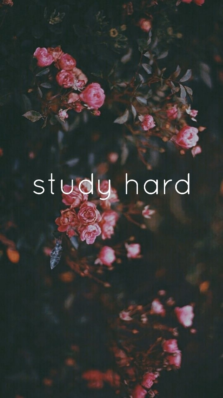 720x1280 Study hard motivation wallpaper uploaded, Phone