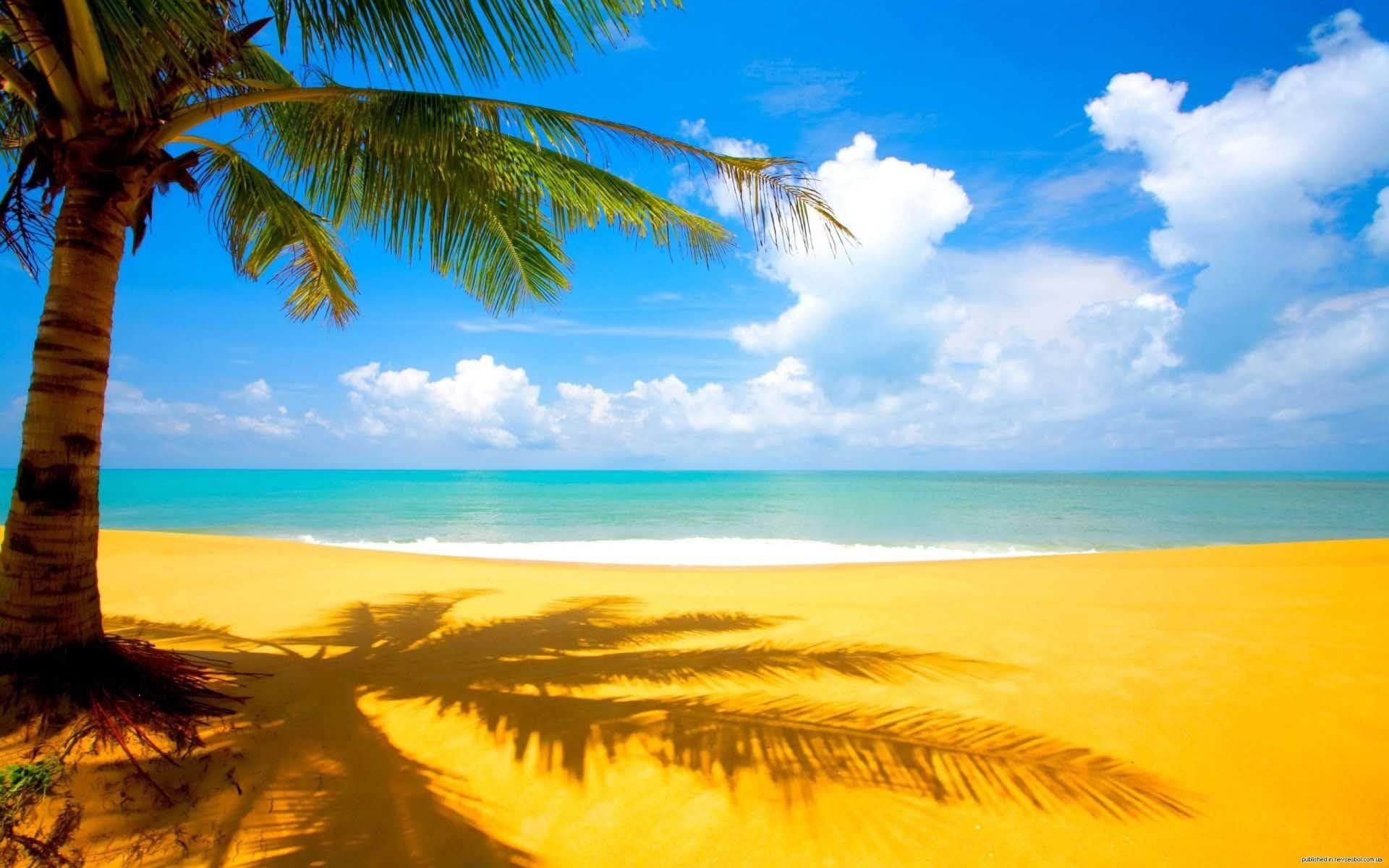 1920x1200 Sunny Beach Wallpaper, Desktop