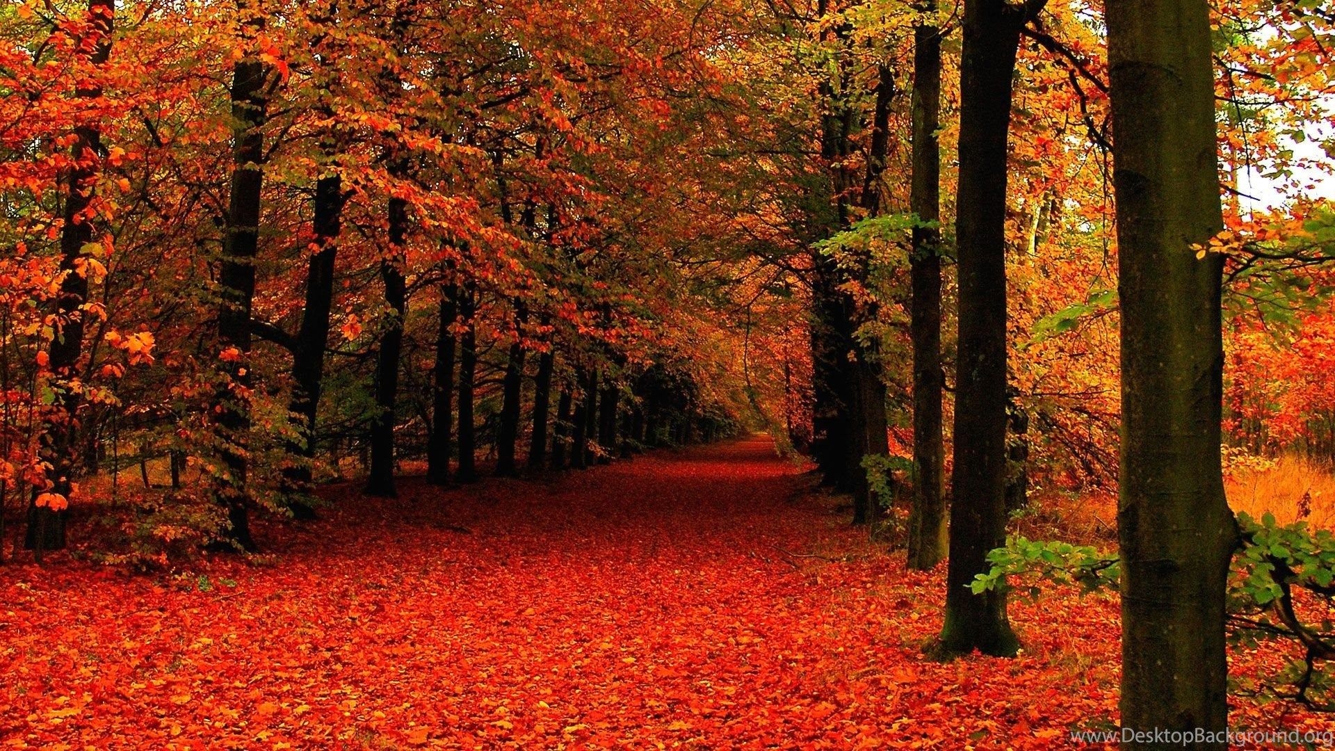 1920x1080 Autumn Wallpaper Archives Free Full HD Wallpaper For 1080p. Desktop Background, Desktop