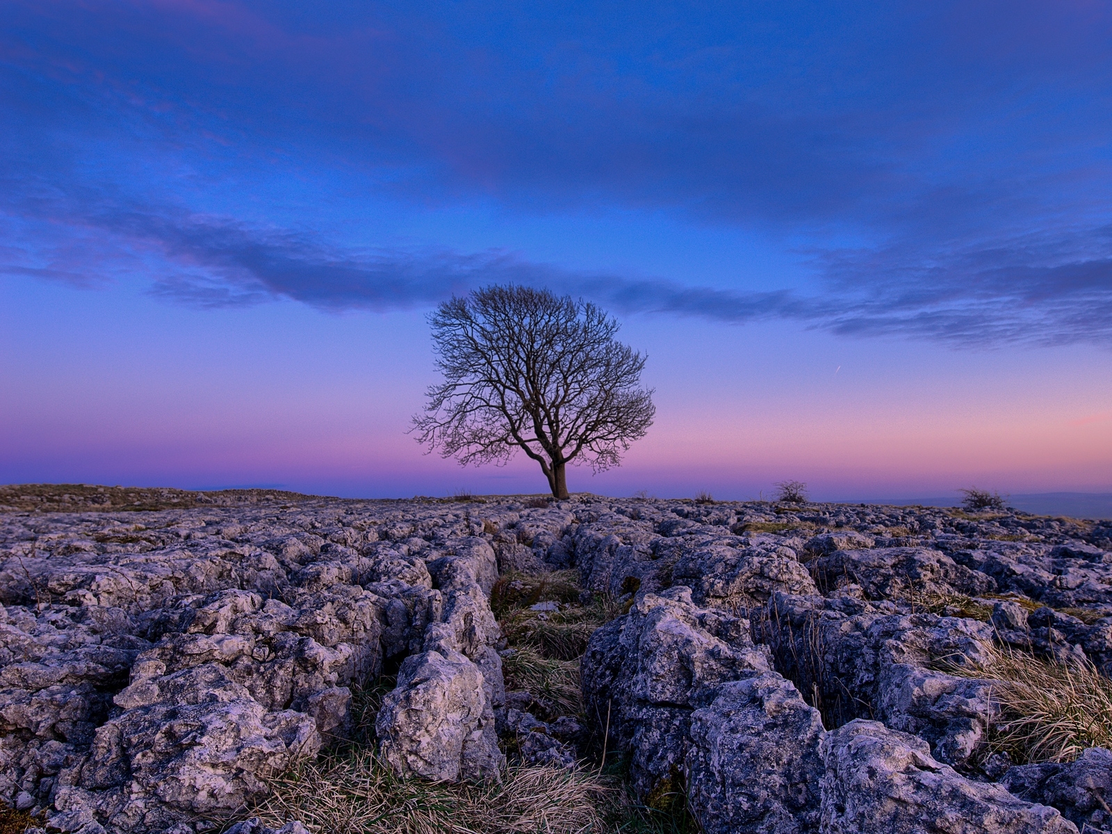 1600x1200 Download wallpaper  tree, dawn, stones, sky standard 4:3 HD, Desktop