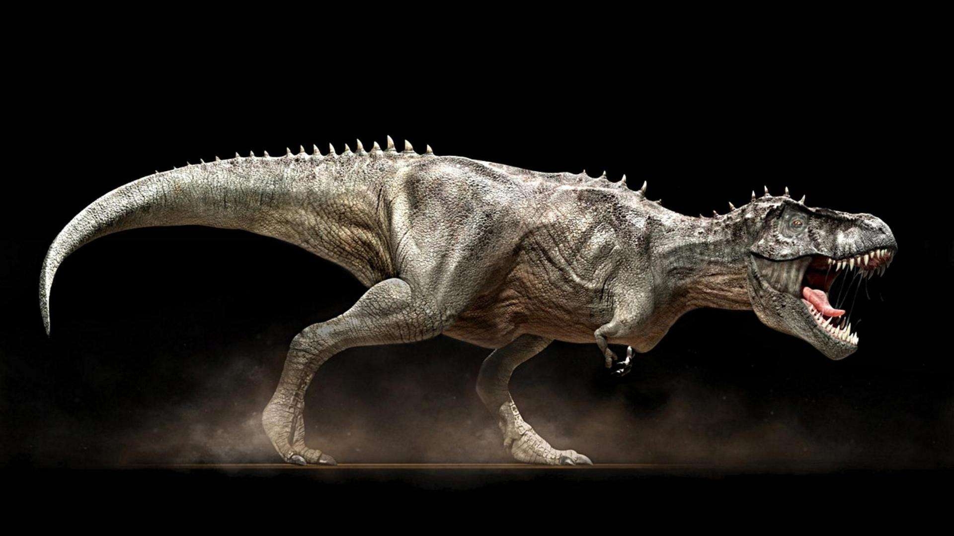 1920x1080 Google T Rex Wallpaper, Desktop