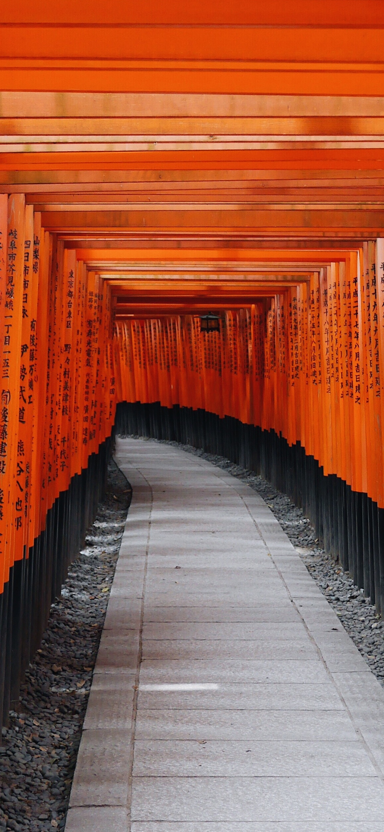 1290x2780 Fushimi Inari Taisha Wallpaper 4K, Shrine, Kyoto, Japan, Orange, Phone