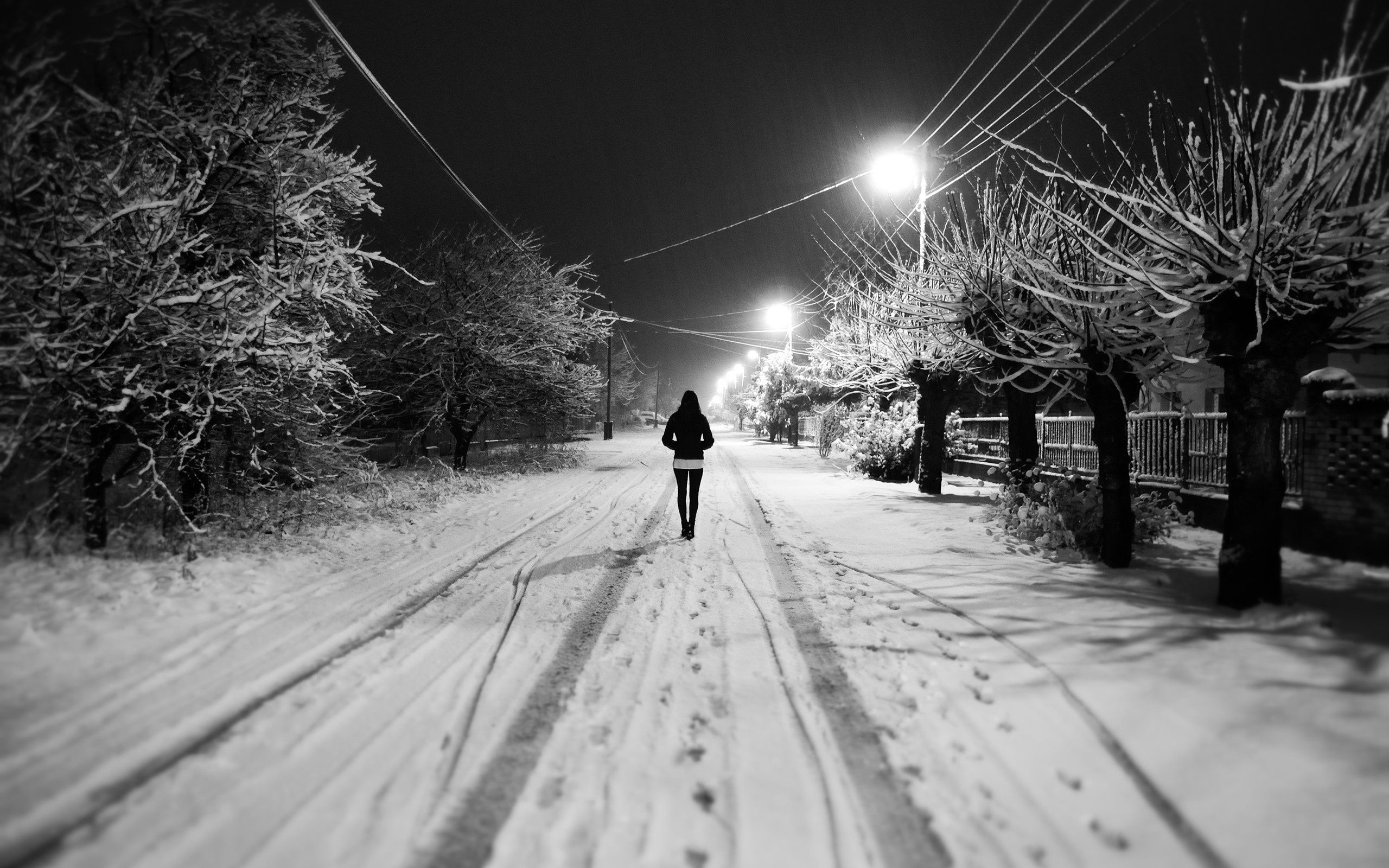 2560x1600 Black and White Snow Wallpaper, Desktop