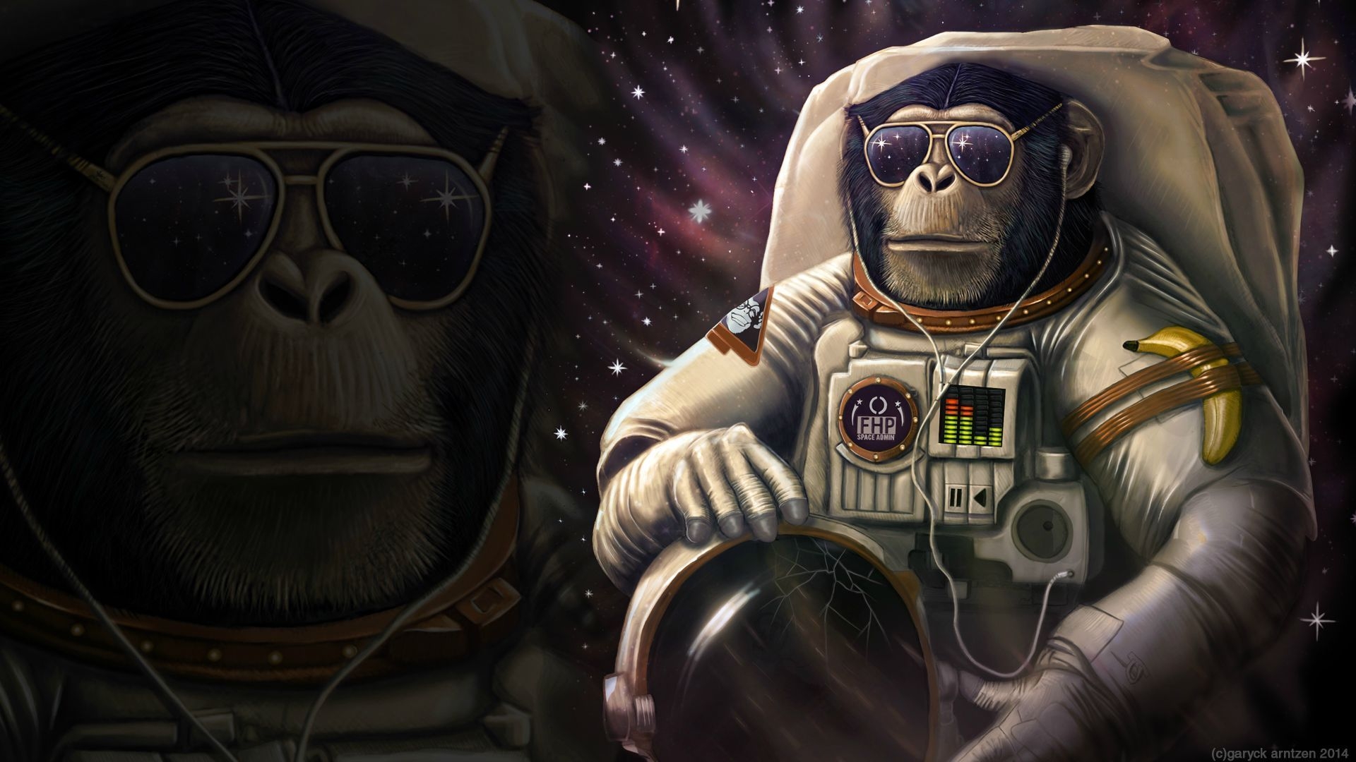 1920x1080 Cool Monkey Wallpaper Free Cool Monkey Background, Desktop