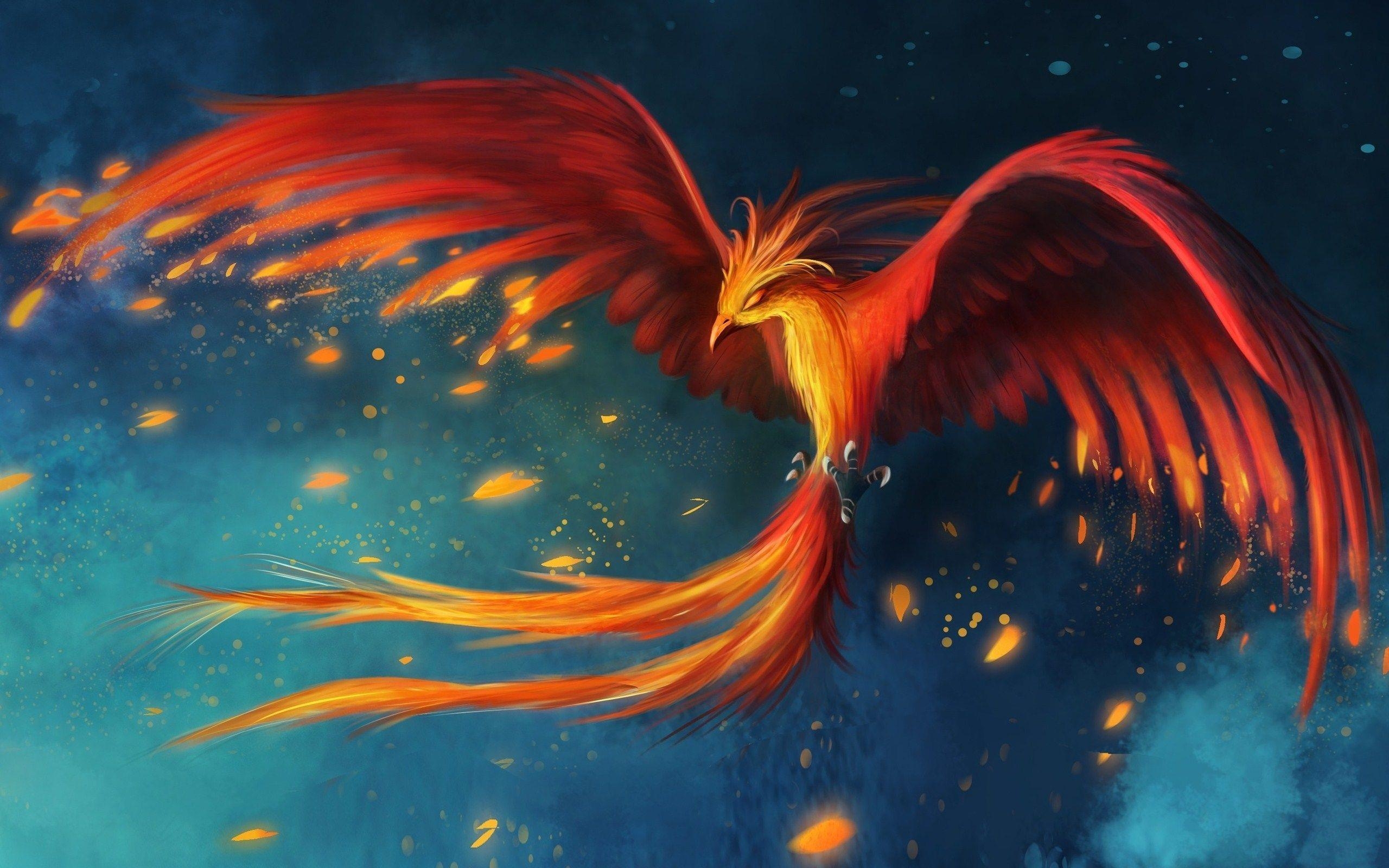 2560x1600 Bird Phoenix Flight Art Drawing Wallpaper, Desktop