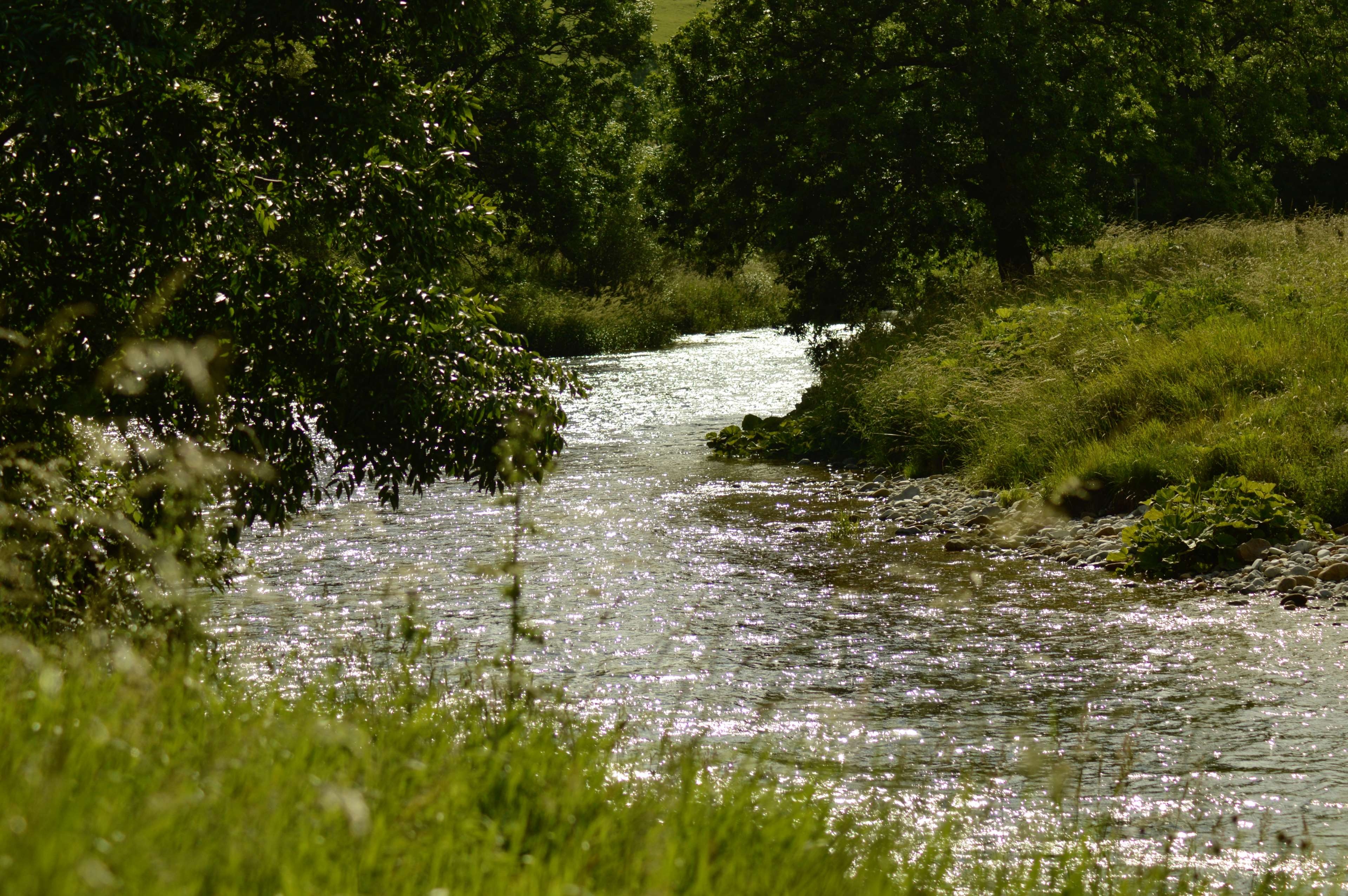 3840x2560 bright river, river, riverbank, sparkling, stream, sunlight 4k, Desktop