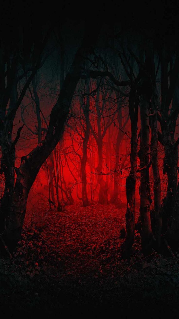 740x1310 Scary Forest IPhone Wallpaper Wallpaper, iPhone Wallpaper. Dark red wallpaper, Red and black wallpaper, Scary background, Phone