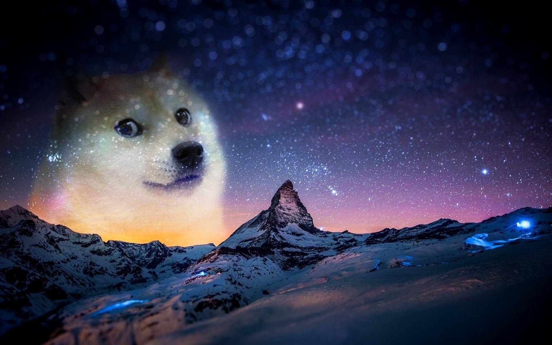 1920x1200 Free Doge Wallpaper For Android, Desktop