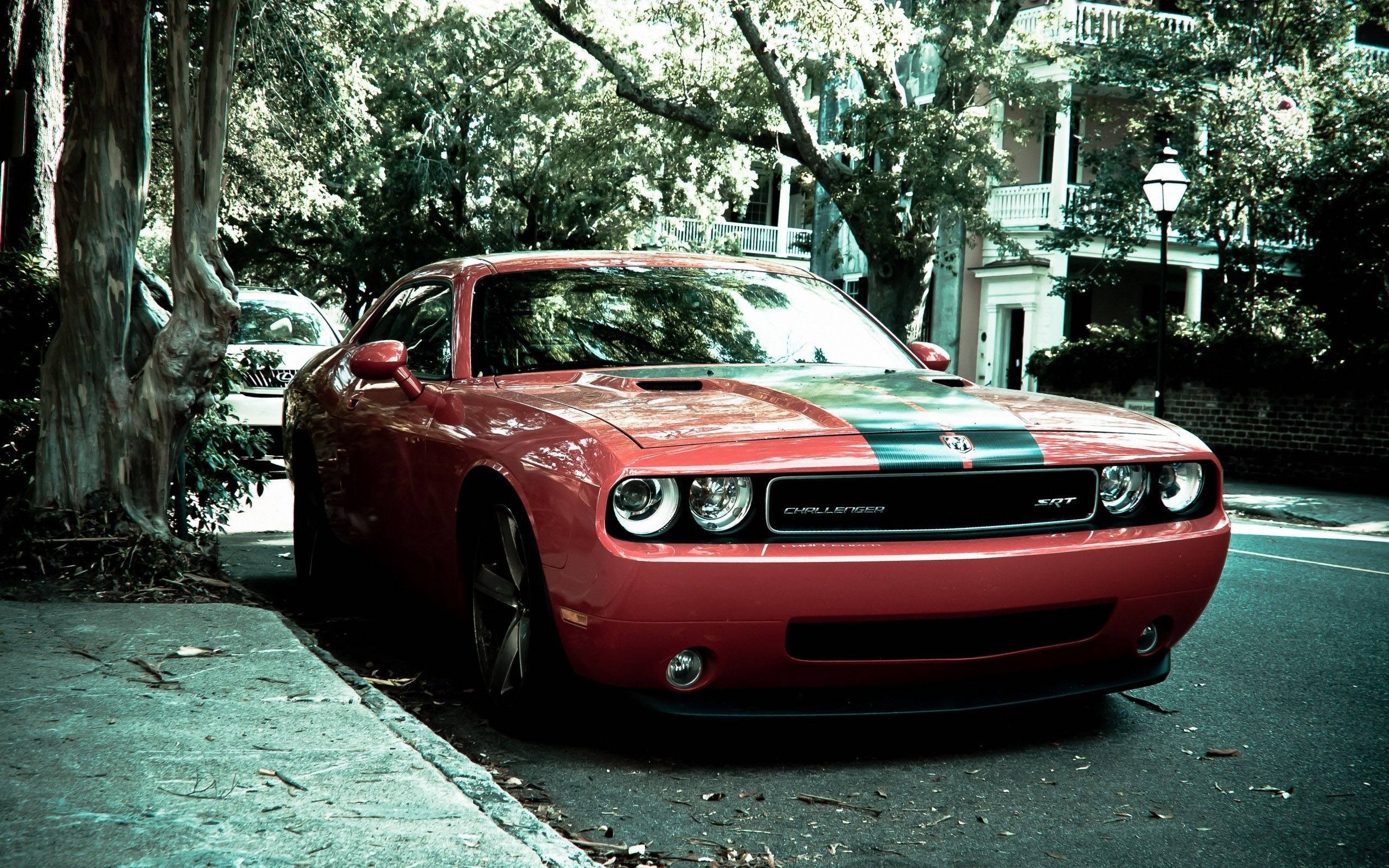 2560x1600 dodge challenger srt street american muscle car wide HD wallpaper, Desktop