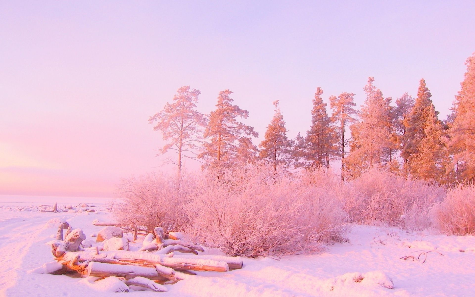 1920x1200 Aesthetic Winter Background, Desktop