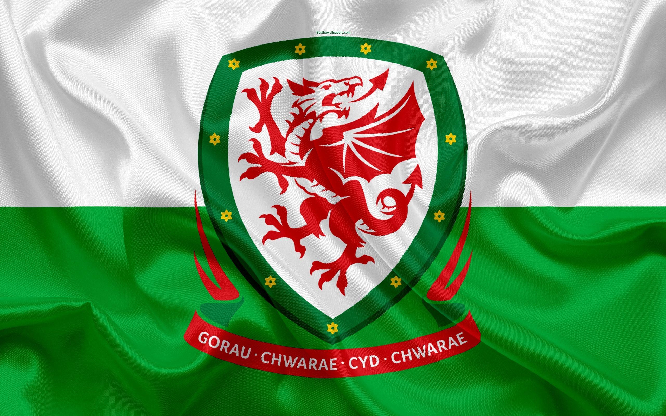 2560x1600 Download wallpaper Wales national football team, emblem, logo, Desktop