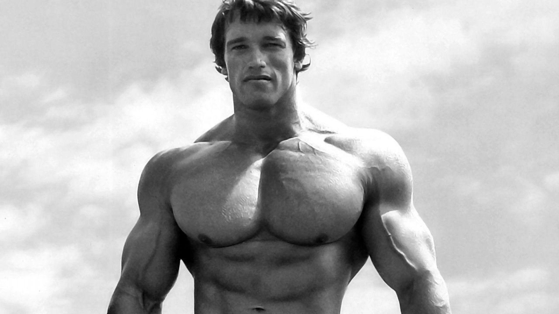 1920x1080 image For > Arnold Schwarzenegger Wallpaper, Desktop