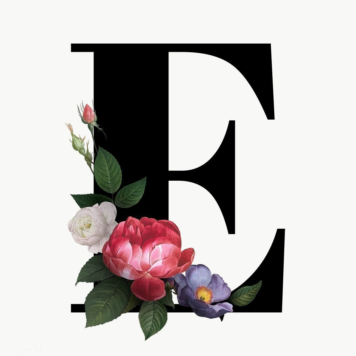 1200x1200 Download premium png of Classic and elegant floral alphabet font letter E. Lettering alphabet fonts, Lettering fonts, Fonts alphabet, Phone