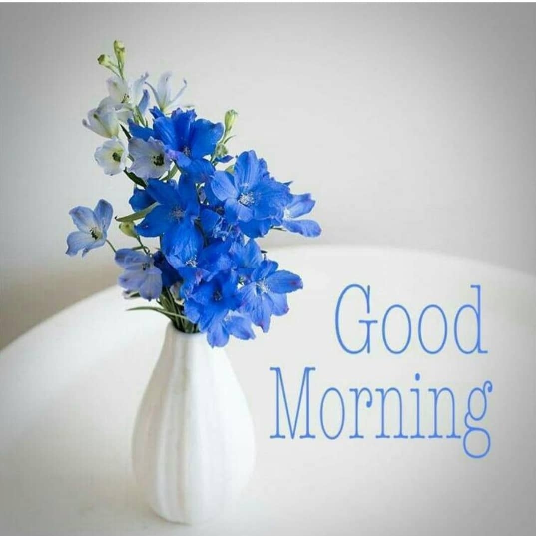 1080x1080 good morning quotes flowers hd, Phone