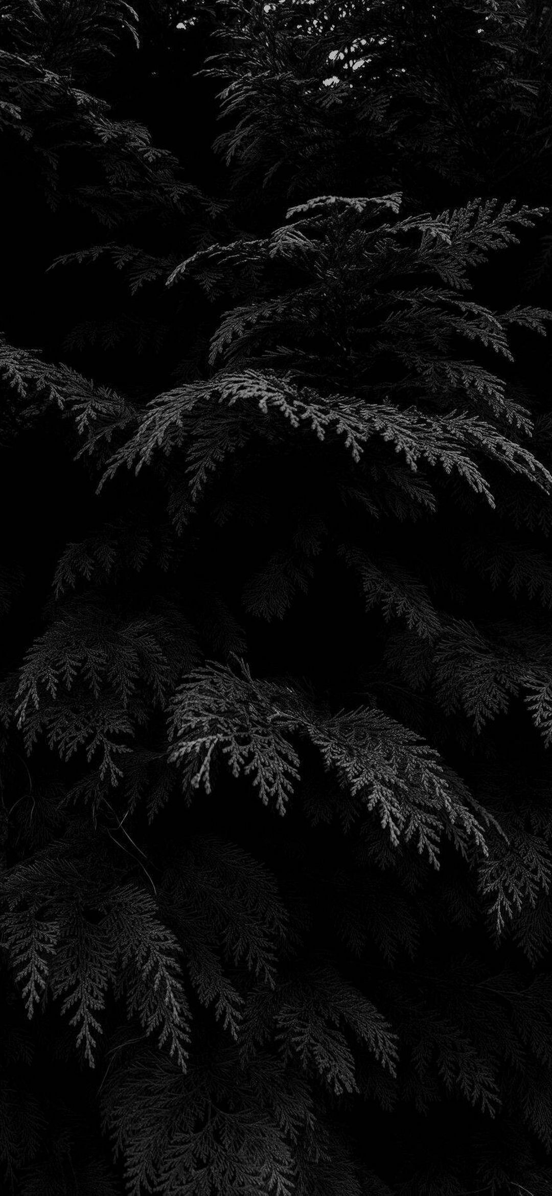 1080x2340 Dark Phone Wallpaper 357 - [], Phone