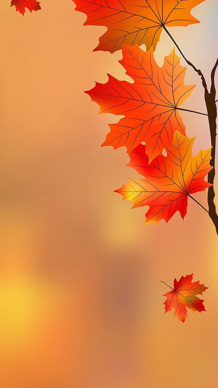 760x1340 Screen saver. Fall wallpaper, iPhone wallpaper fall, Phone screen, Phone