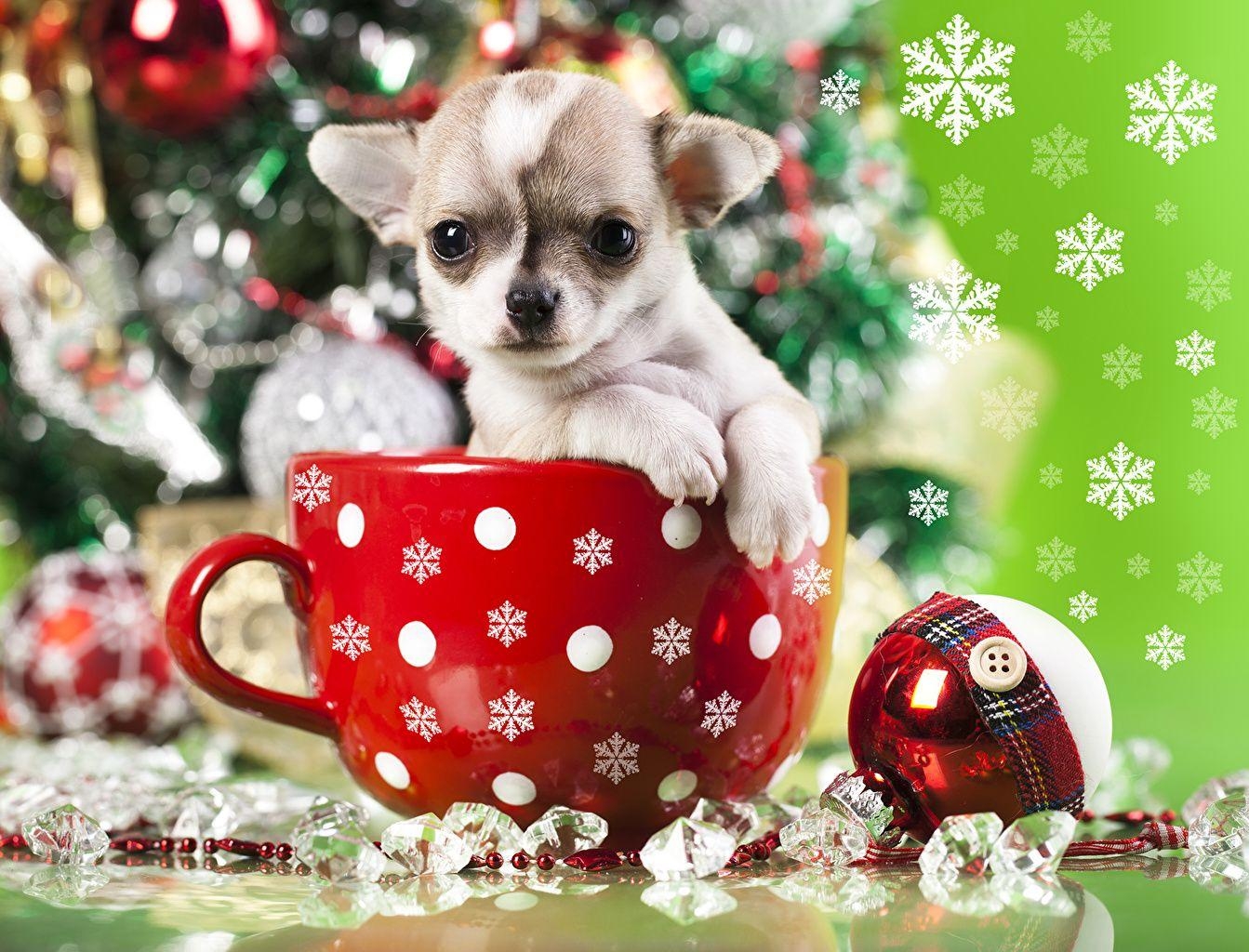 1350x1030 Christmas Animals Wallpaper. Wallpaper 4k, Desktop