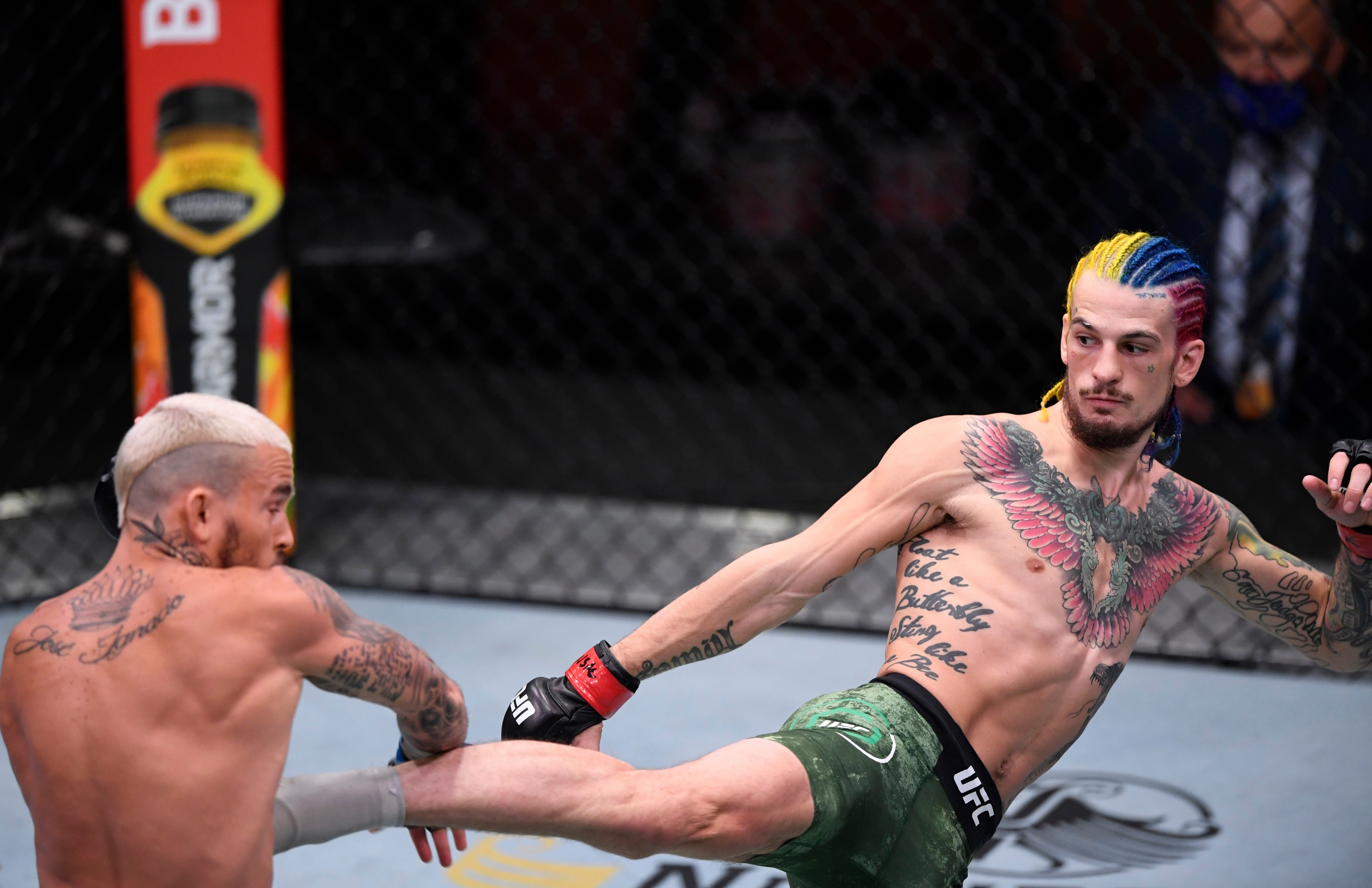 5450x3530 UFC star Sean O'Malley hits back at Chito Vera and rages 'I'll be world champ, he'll be a journeyman' as feud continues, Desktop