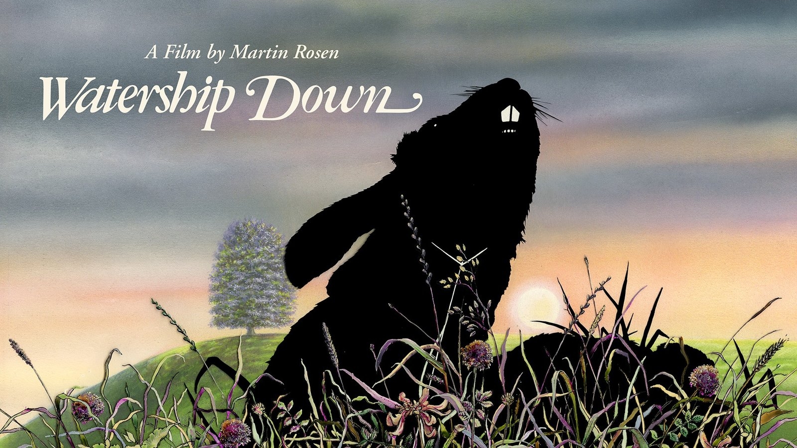 1600x900 Watership Down, Desktop