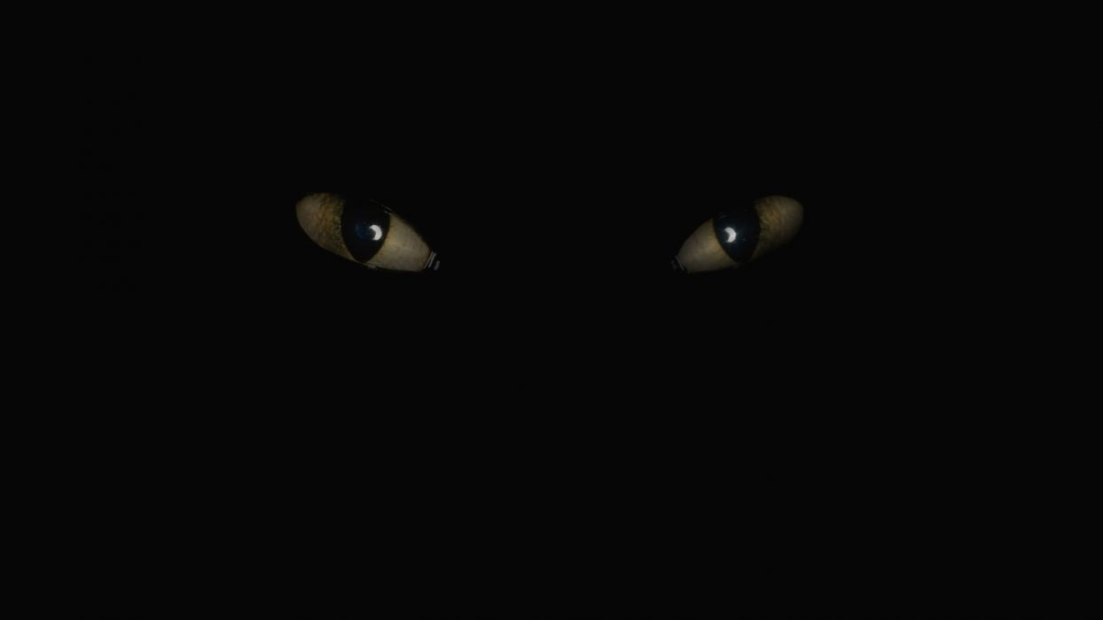 1250x700 Creepy eyes dark wallpaperx1080, Desktop