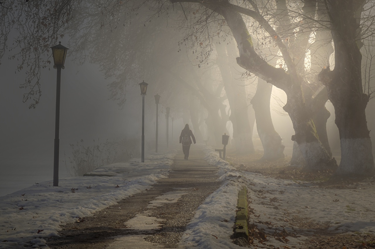 1280x850 Desktop Wallpaper Fog path Walking park Street lights Trees Cities, Desktop