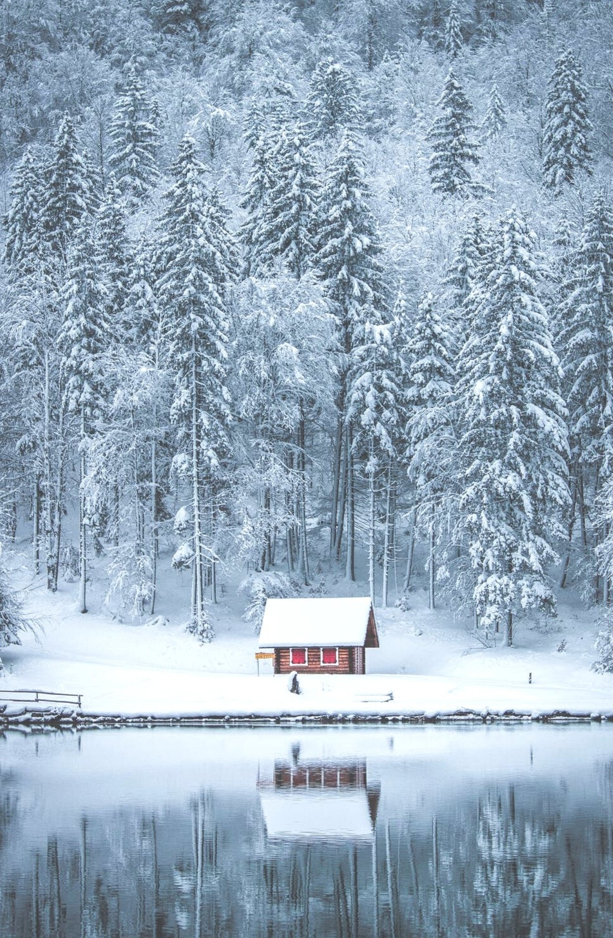 1250x1900 Free Beautiful Winter Wallpaper For iPhone That You'll Love, Phone