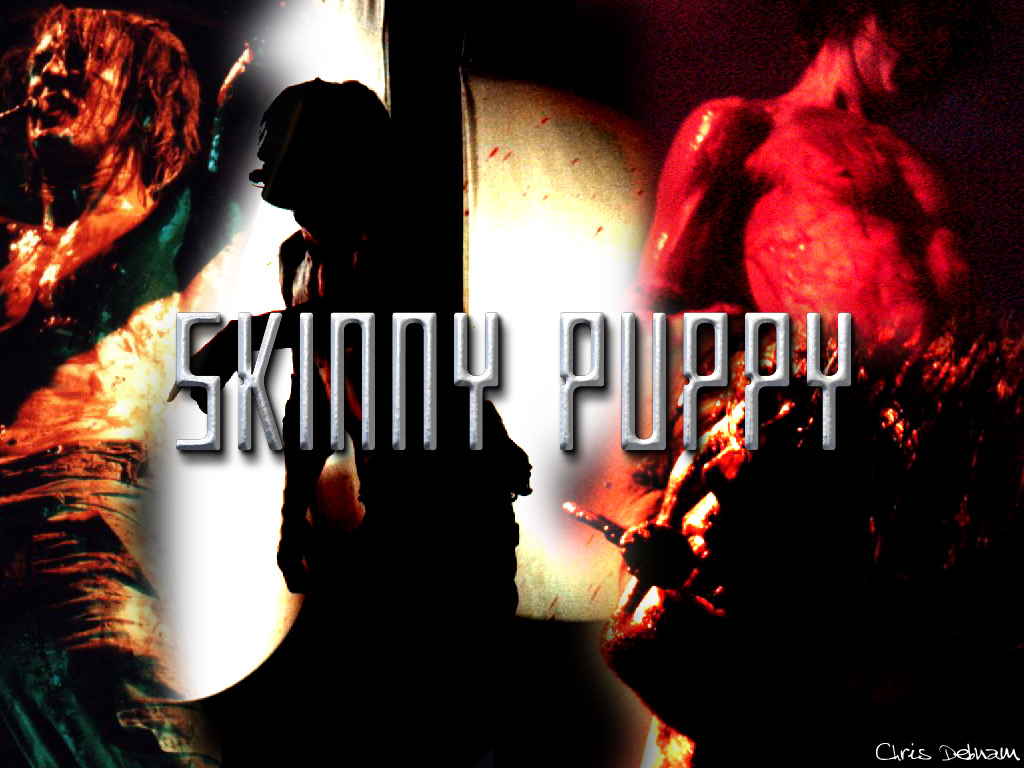 1030x770 skinny puppy. free wallpaper, music wallpaper, desktop backrgounds!, Desktop