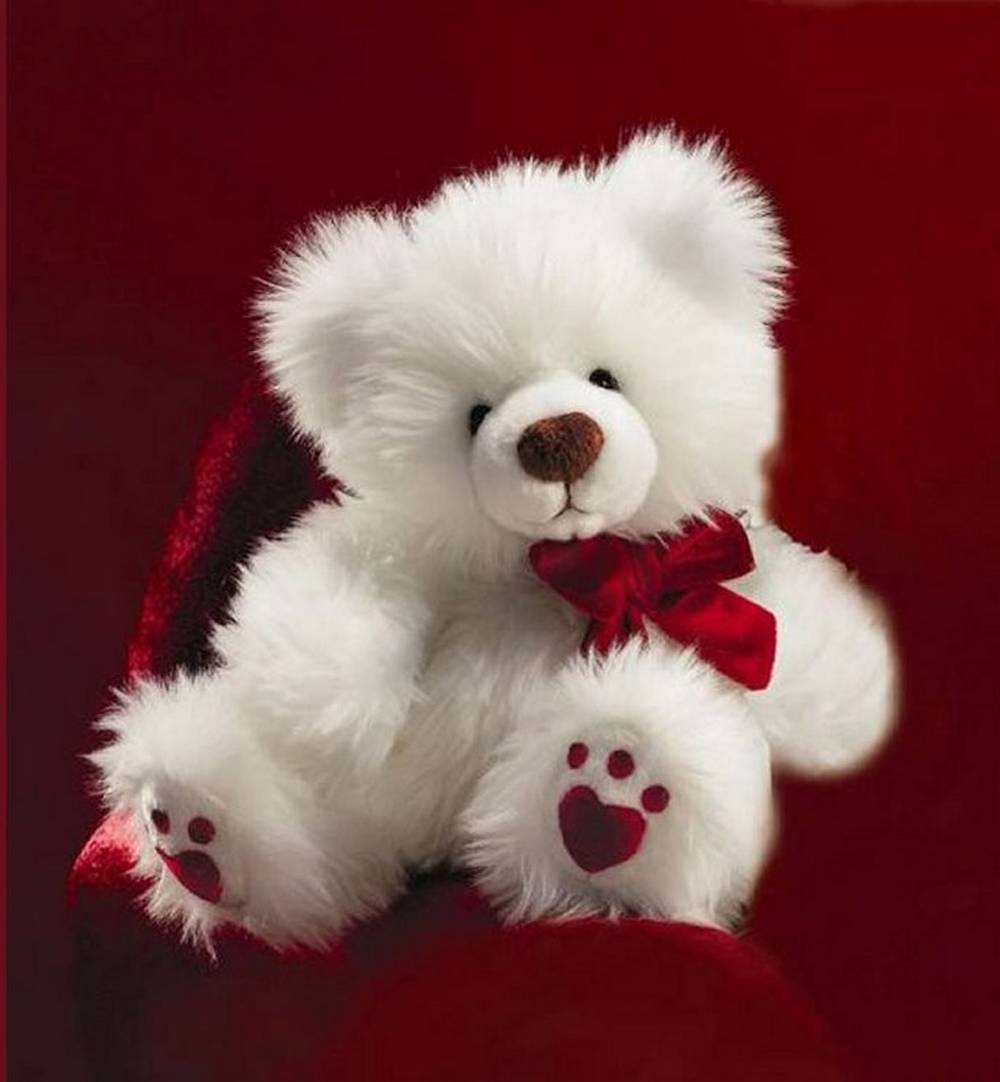 1000x1090 Teddy Bear Wallpaper Free Download, Phone