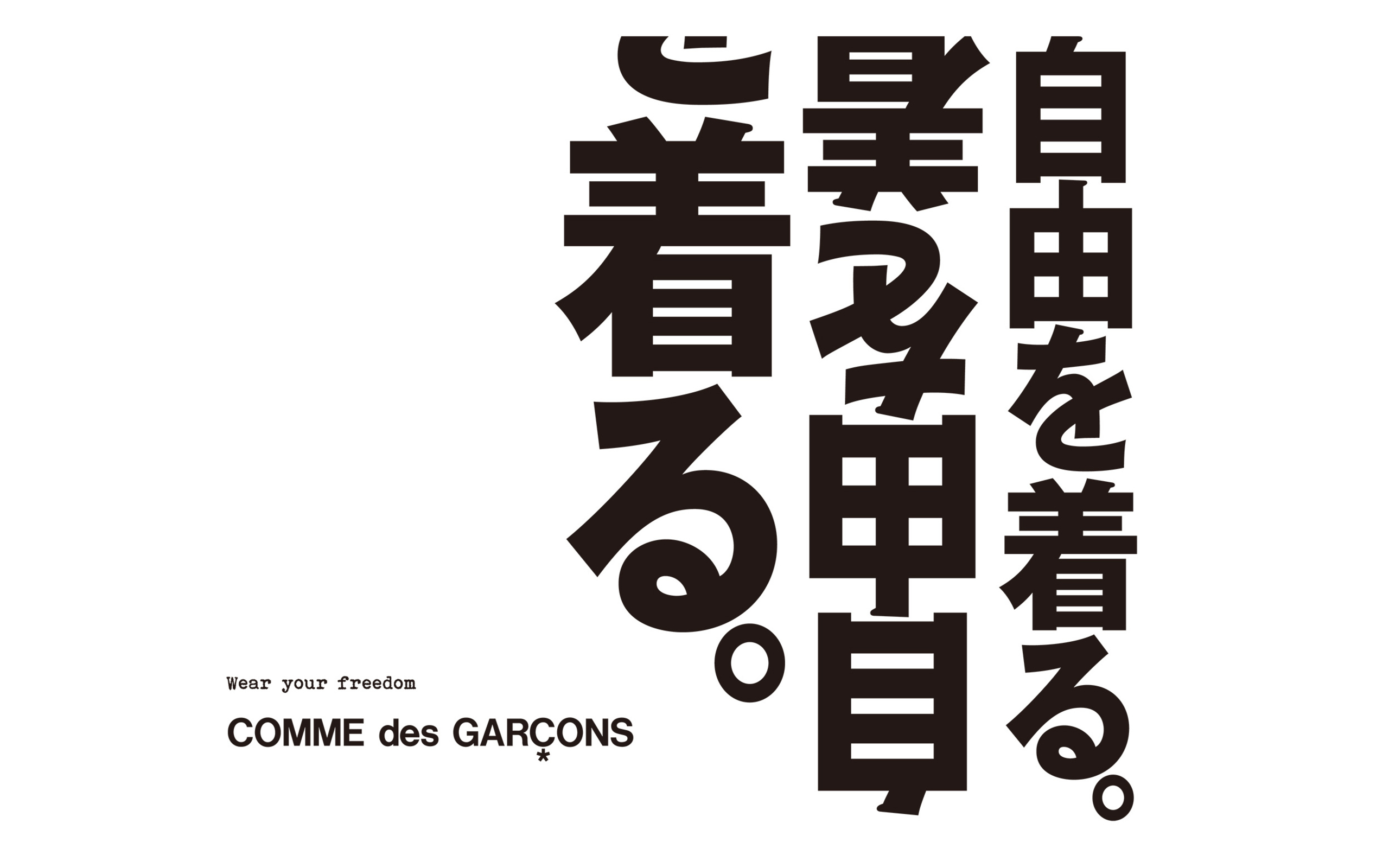 2560x1600 COMME DES GARCONS, Desktop