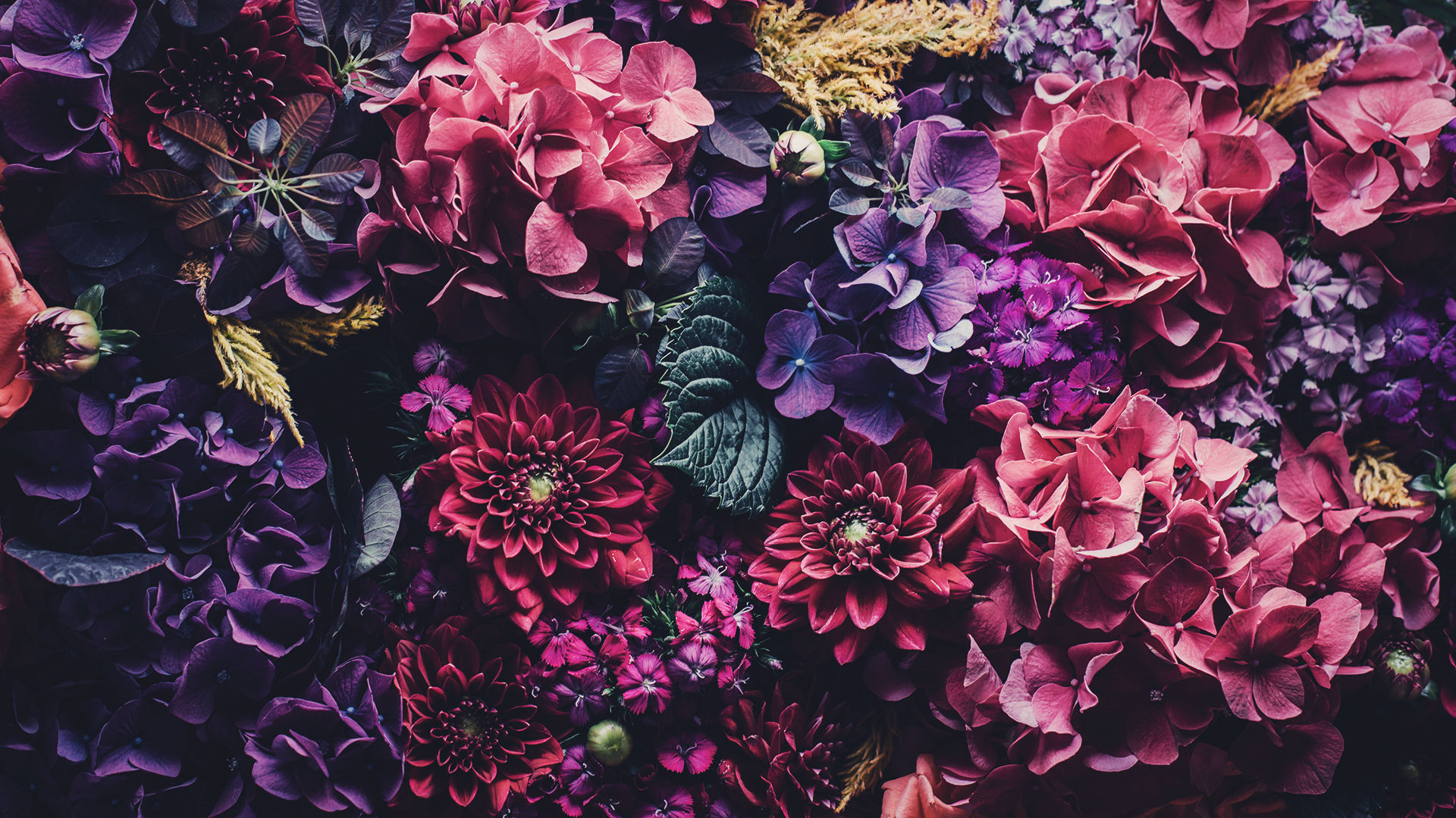 1920x1080 Floral iPhone Wallpaper To Celebrate 65k Followers, Desktop