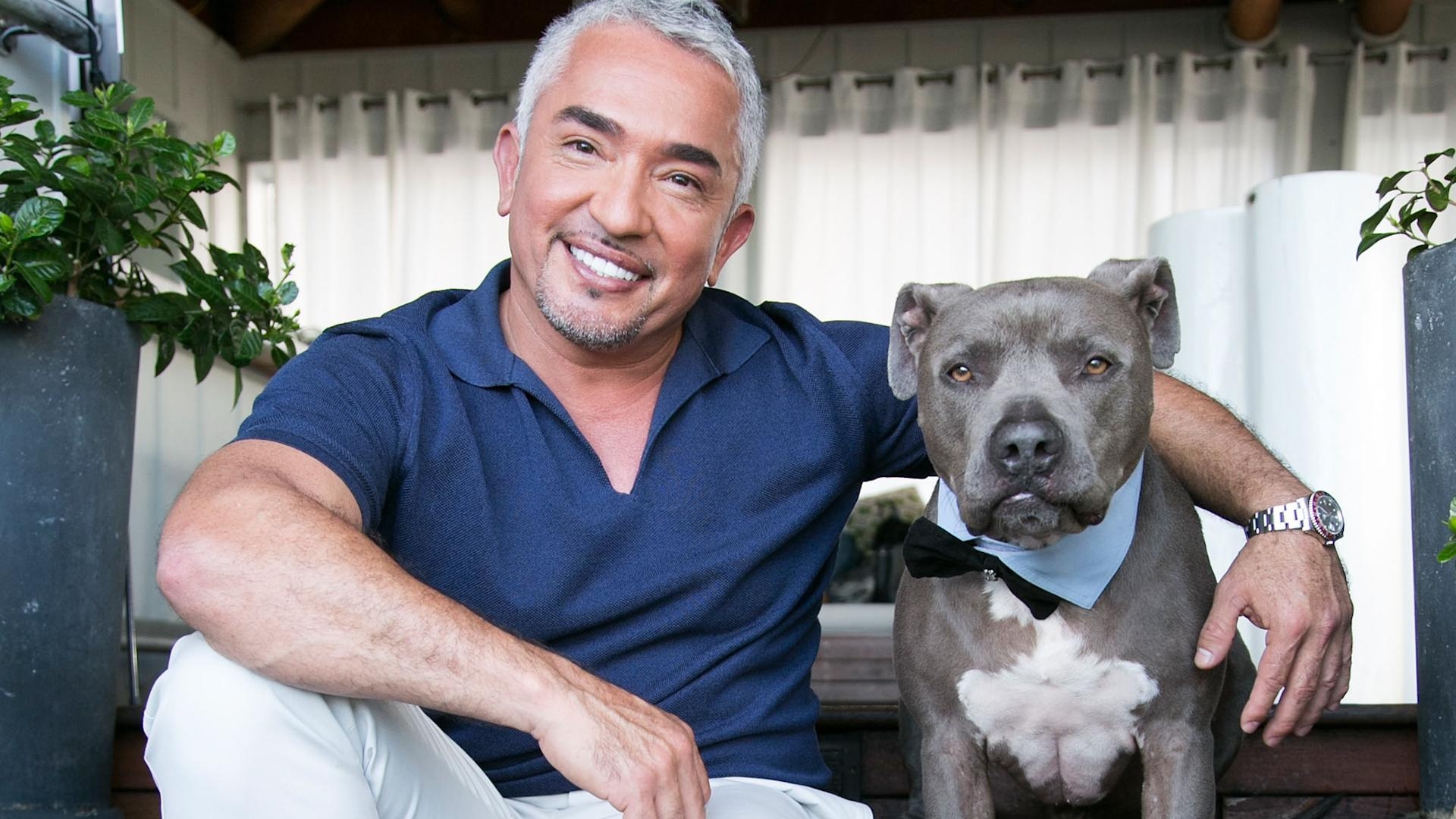 1920x1080 Cesar Millan's rules when getting a new puppy, Desktop