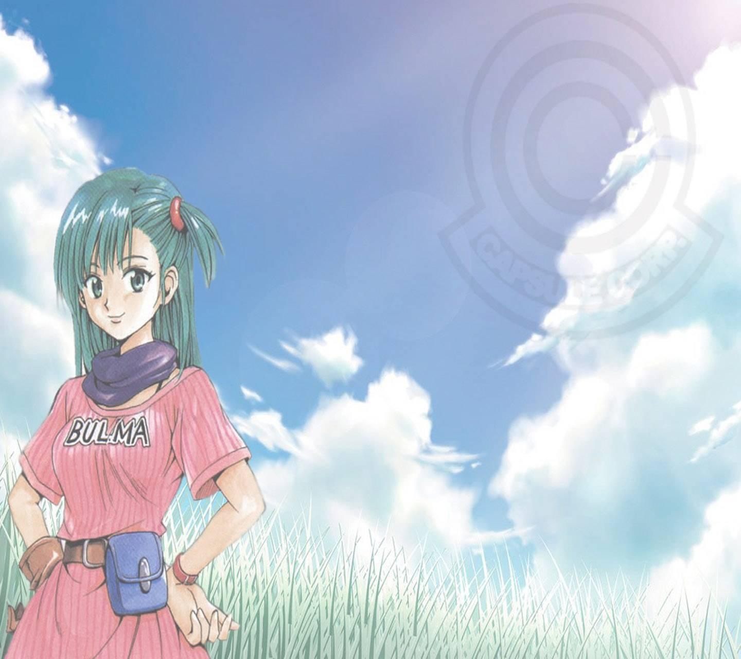 1440x1280 Bulma Briefs Wallpaper, Desktop