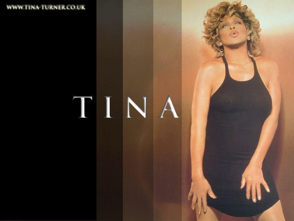 1030x770 Tina Turner image Tina Turner HD wallpaper and background photo, Desktop