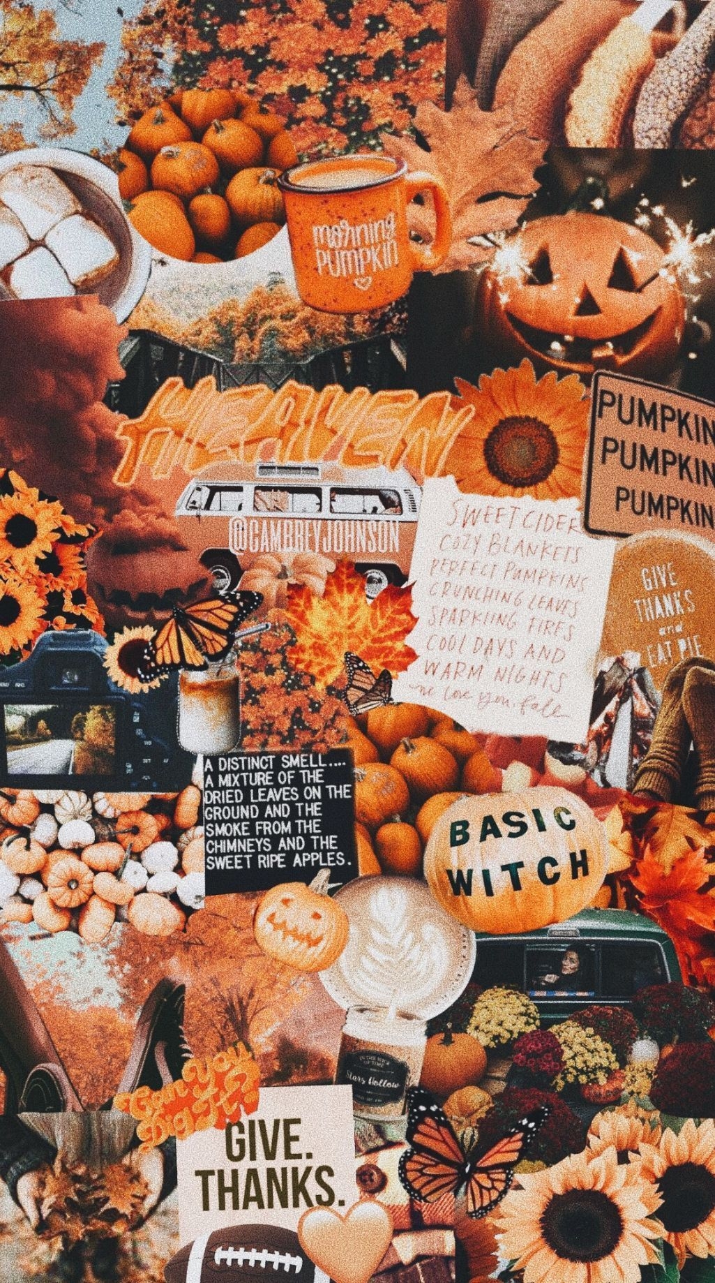 1030x1840 ig & vsco. #autumnwallpaper. iPhone wallpaper fall, Fall wallpaper, Halloween wallpaper, Phone