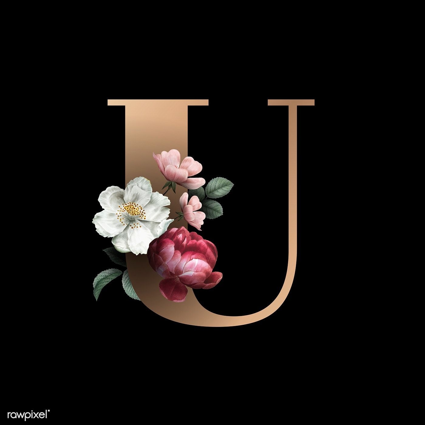 1400x1400 Classic and elegant floral alphabet font letter U vector. free, Phone