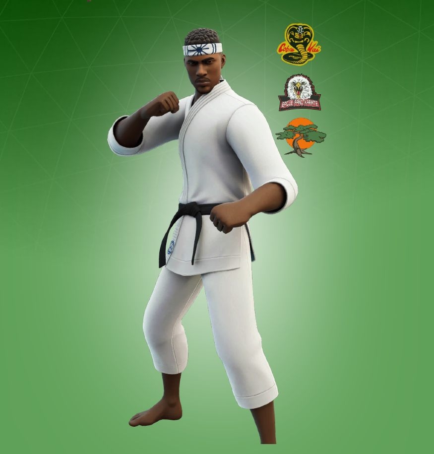 880x920 Dojo Defender Fortnite wallpaper, Phone