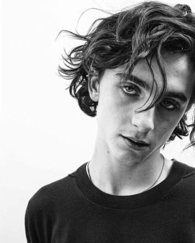 810x1000 Timothee Chalamet, Phone