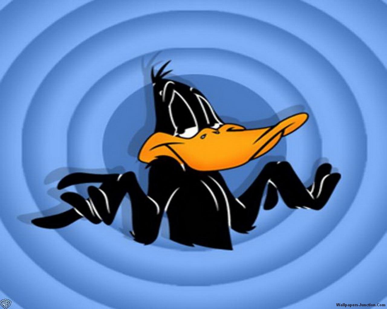 1280x1030 Daffy Duck Wallpaper 1015 HD Picture. Top Wallpaper Desktop, Desktop