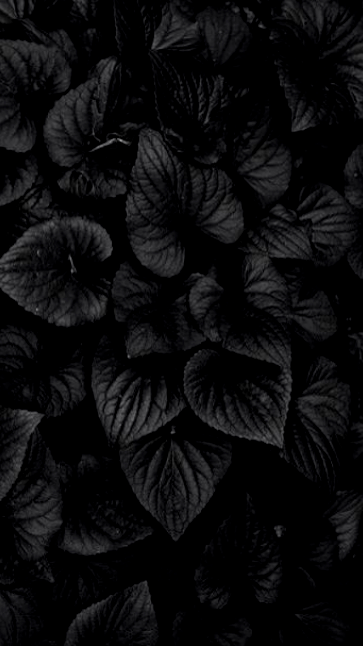 1440x2560 4K Black Wallpaper Free 4K Black Background, Phone