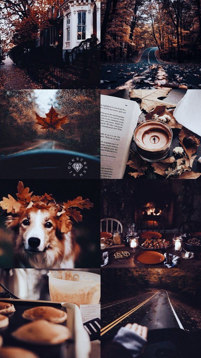 680x1200 mood board inspo // aesthetic. Dog wallpaper iphone, Fall wallpaper, Autumn aesthetic, Phone