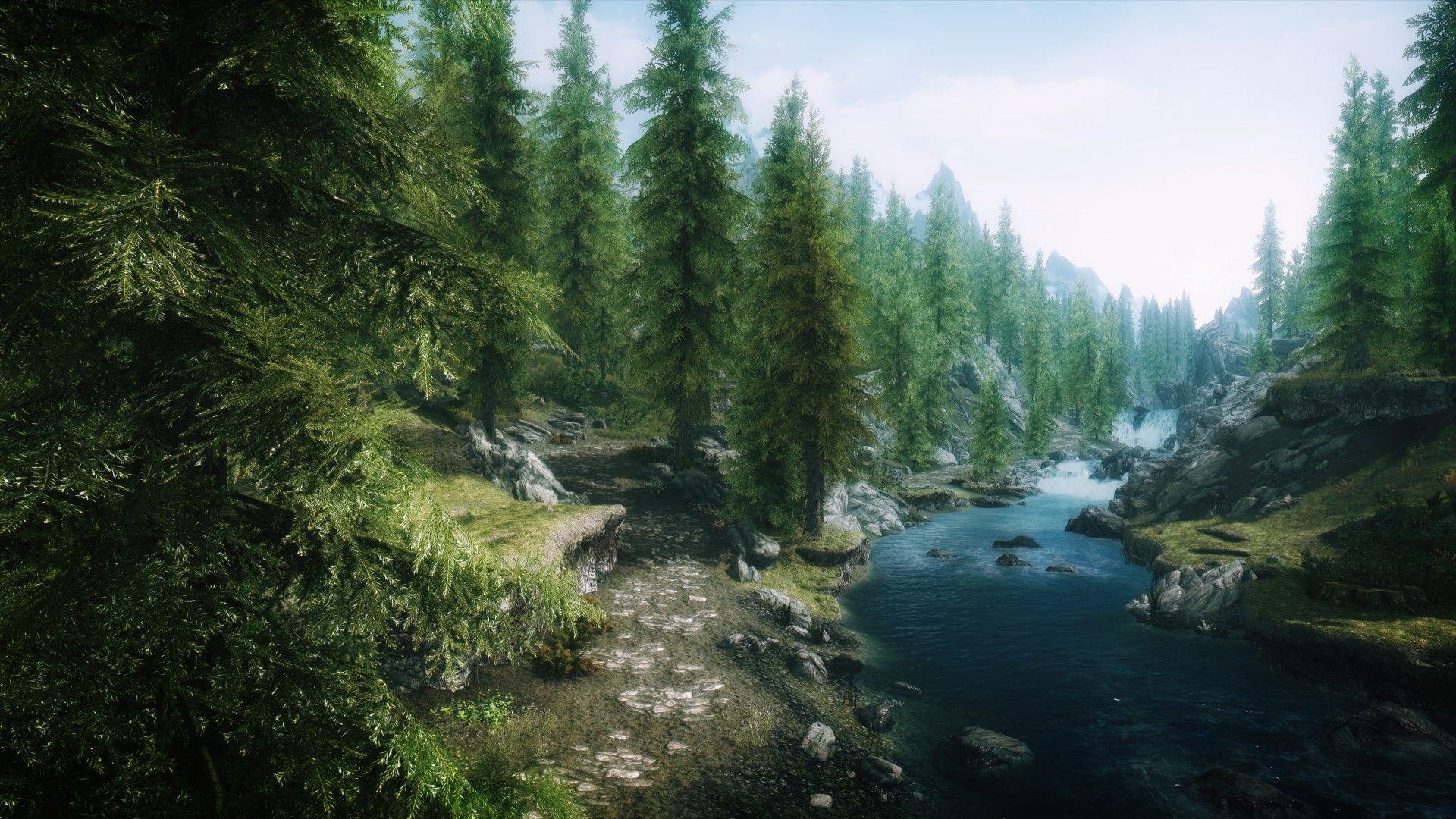 1920x1080 Forest skyrim wallpaper 1920×1080 forest skyrim elder scrolls v, Desktop