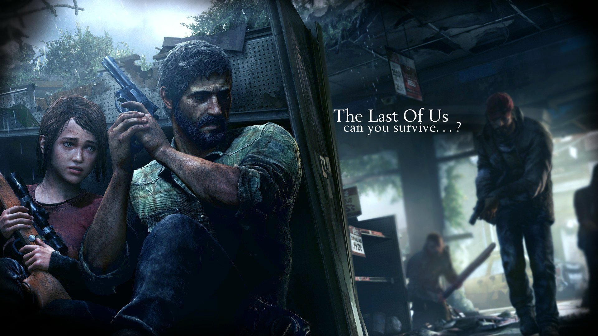 1920x1080 Last of US HD Wallpaper, Desktop