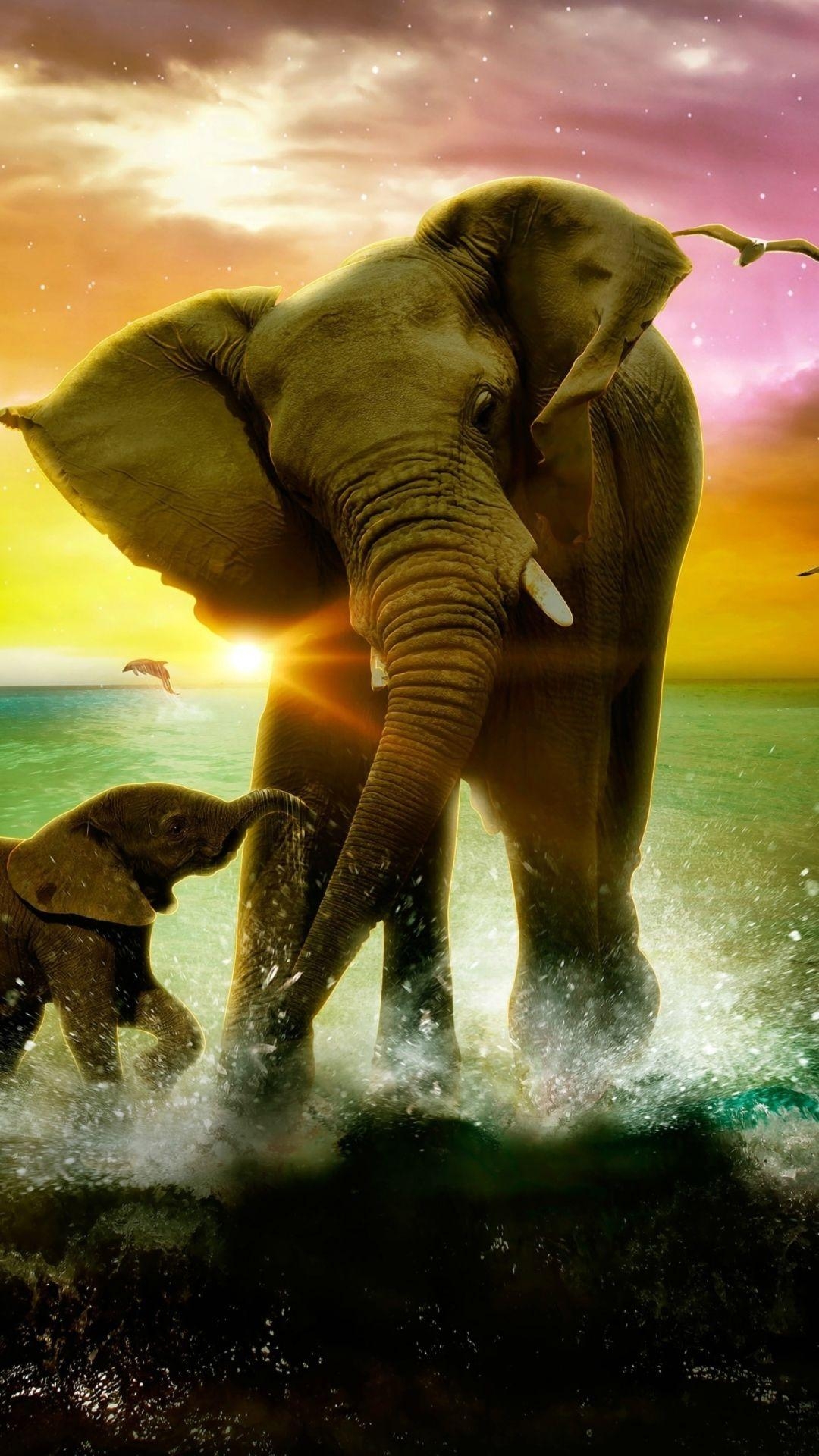 1080x1920 Elephant Wallpaper iPhone, Phone