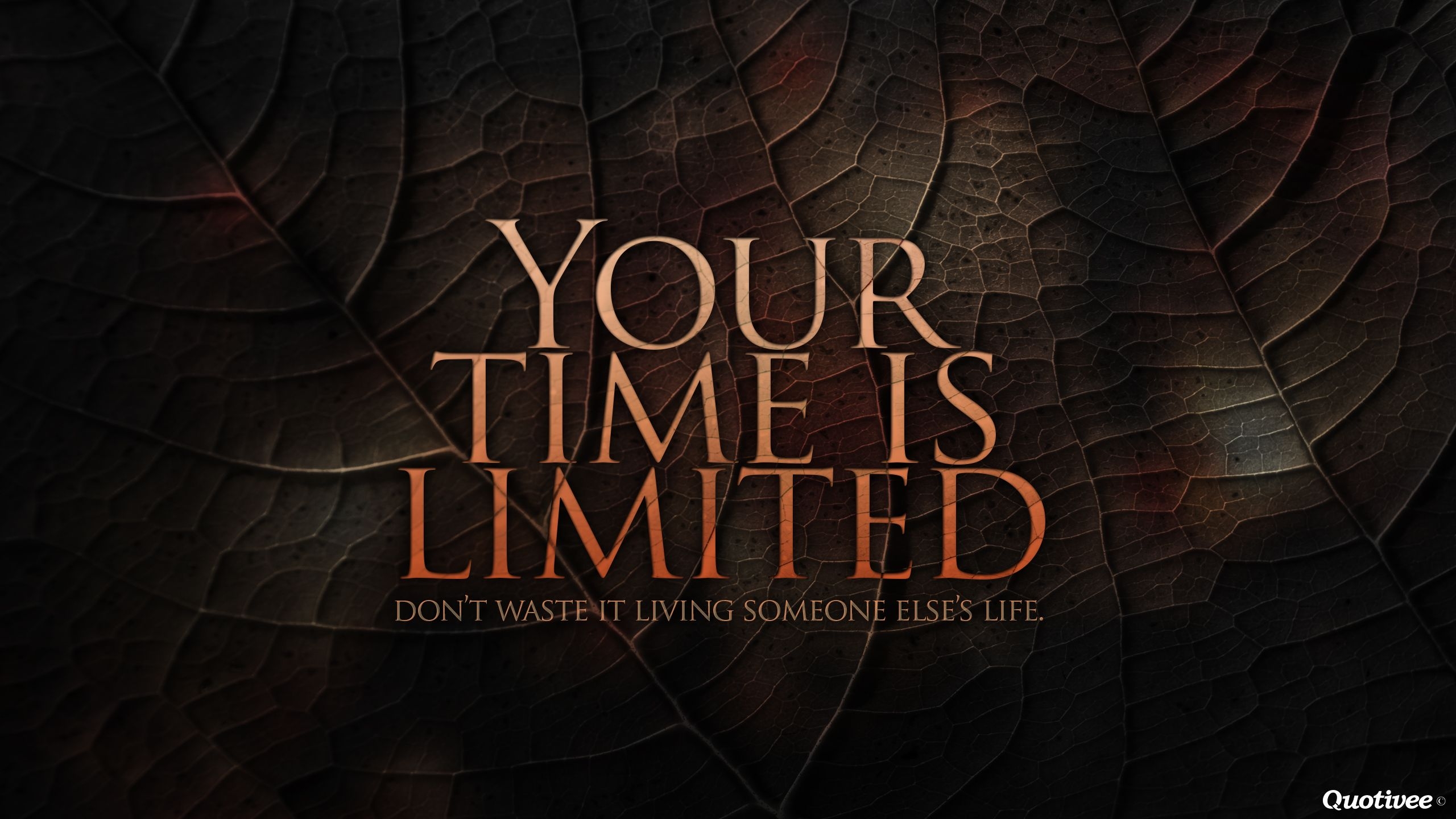 2560x1440 Your Time Is Limited, Desktop