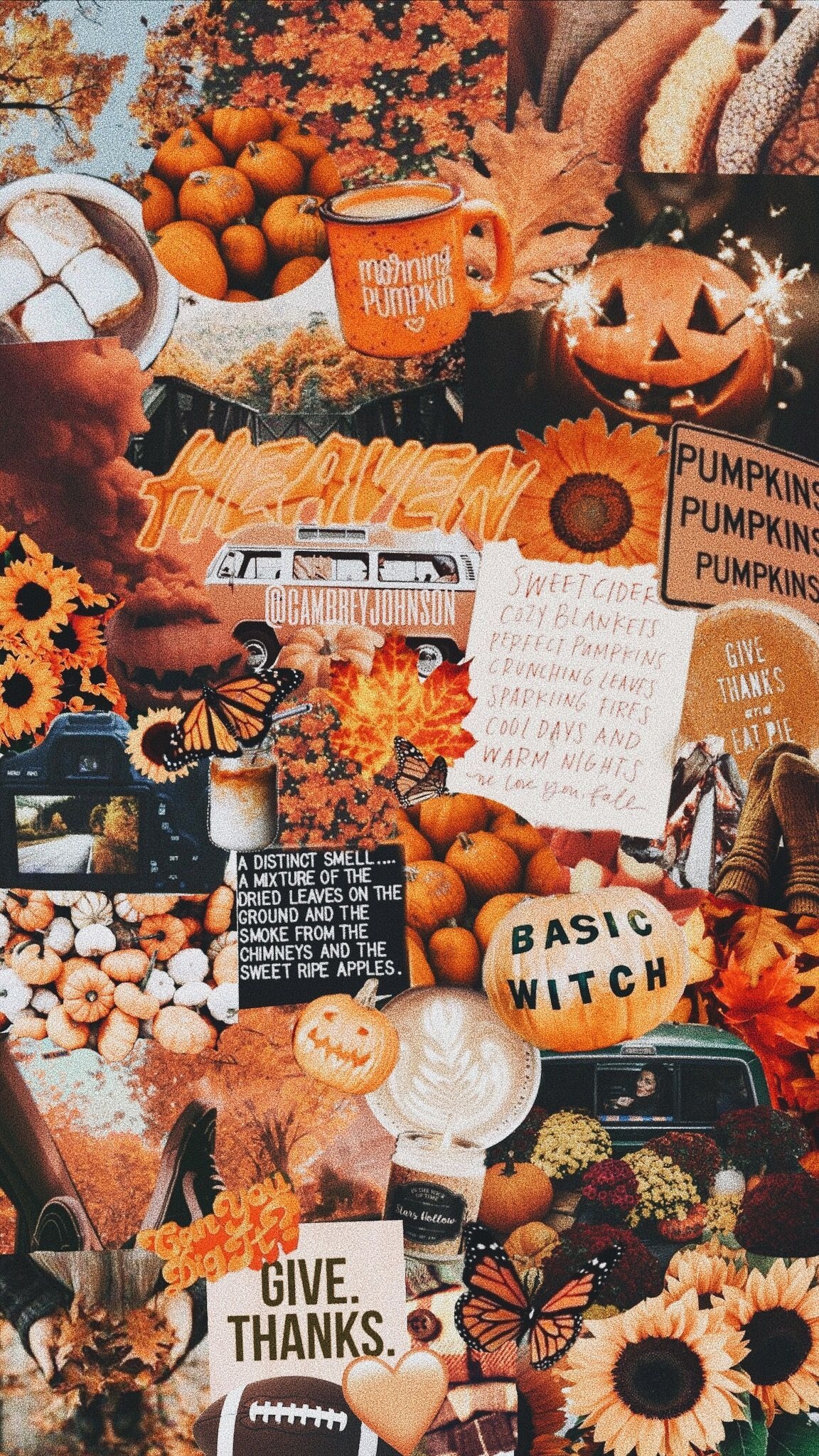 1160x2050 fall #autumn #collage. iPhone wallpaper fall, Fall wallpaper, Halloween wallpaper, Phone