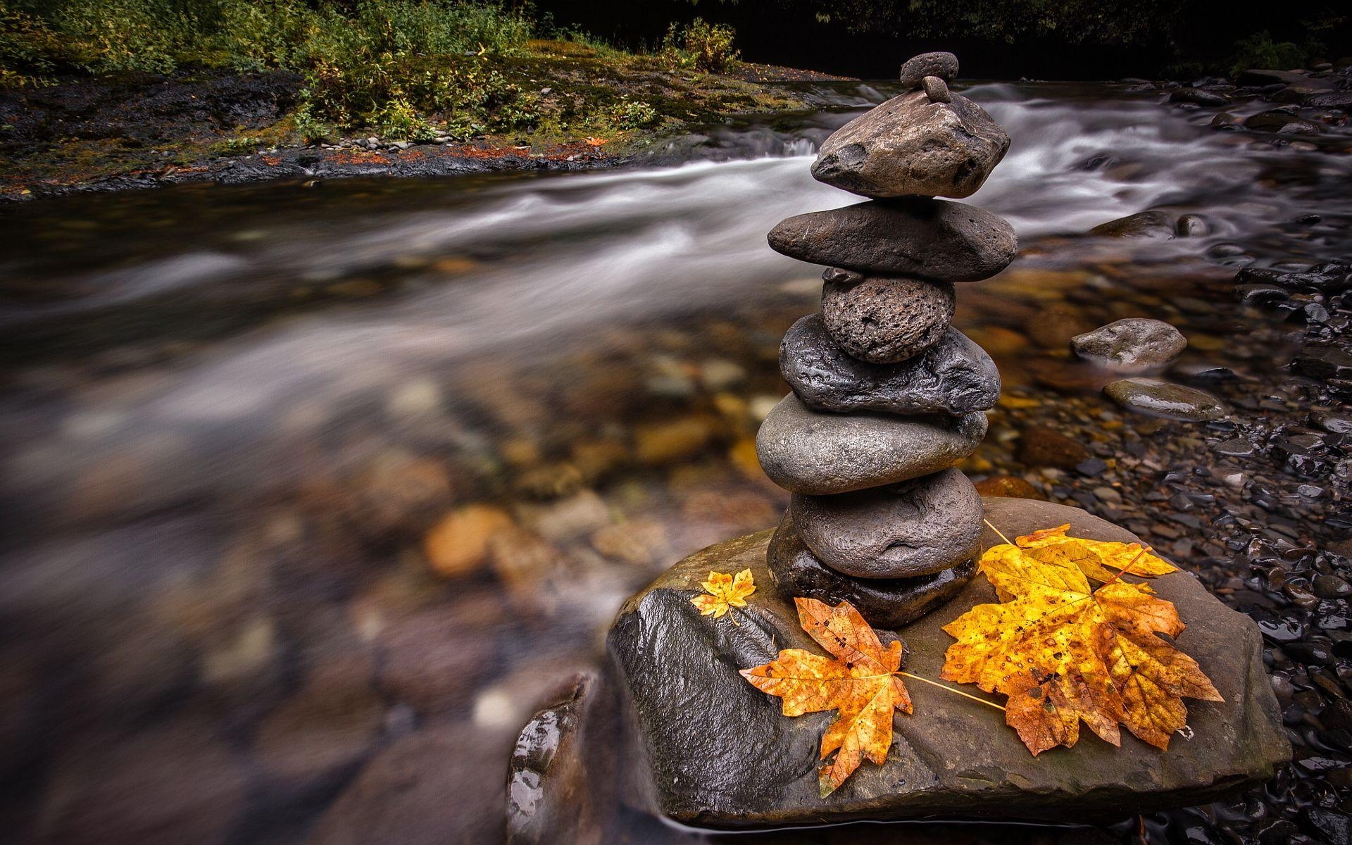 1920x1200 Beautiful Forest River Falling On The Rocks Wallpaper, Desktop