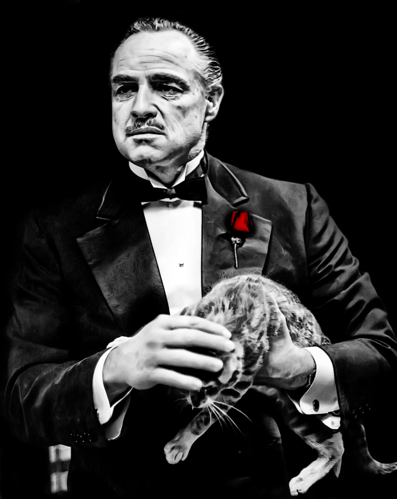 800x1010 Godfather 2 Wallpaper, Phone